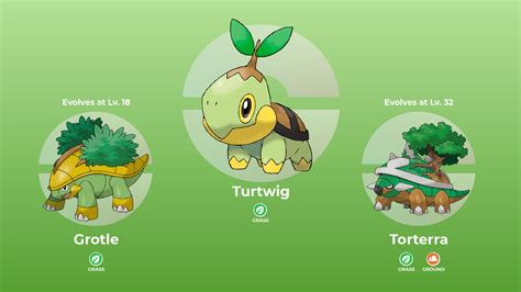 pokemon diamond turtwig evolution.